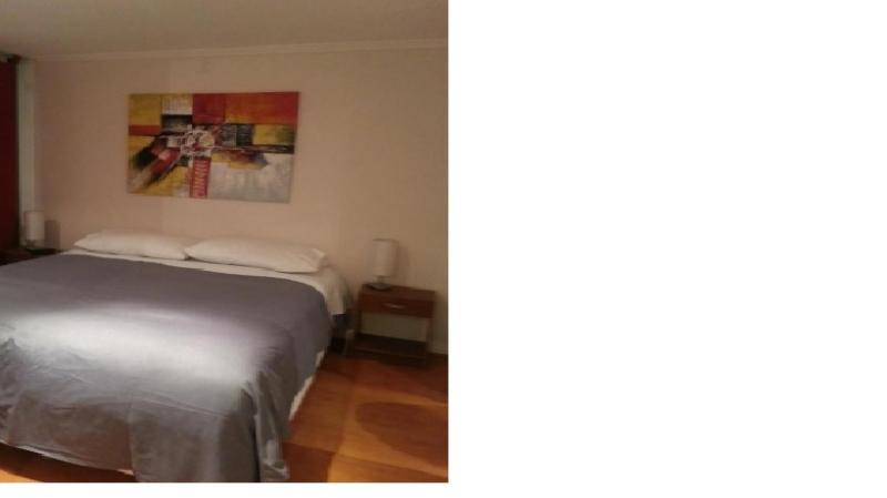 Appartamento Departamentos Pontoni Santiago del Cile Esterno foto